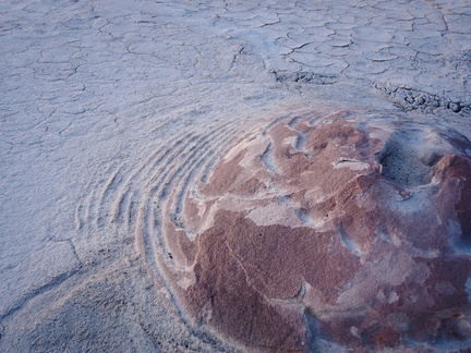 concentric
