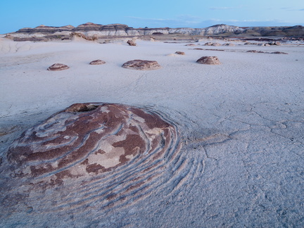concentric2