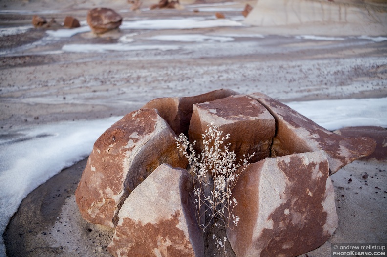 rockplanter - rockplanter.jpg rockplanter.jpg