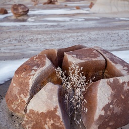 rockplanter