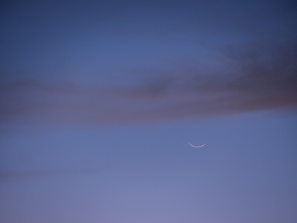 crescent