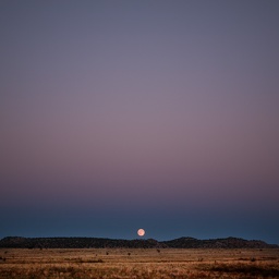 moonrise