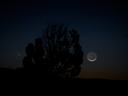 panstarrs