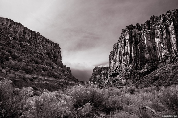 canyonent2