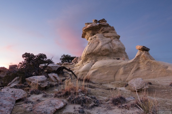 ojihoodoopink