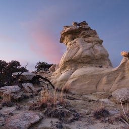 ojihoodoopink