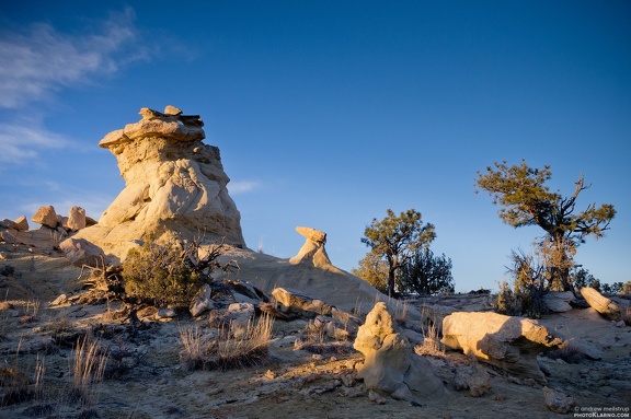 ojihoodoosgoldwide