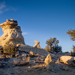 ojihoodoosgoldwide